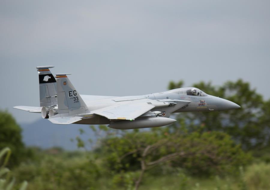 Freewing F-15C Eagle Super Scale High Performance 90mm EDF  ARF Plus Jet