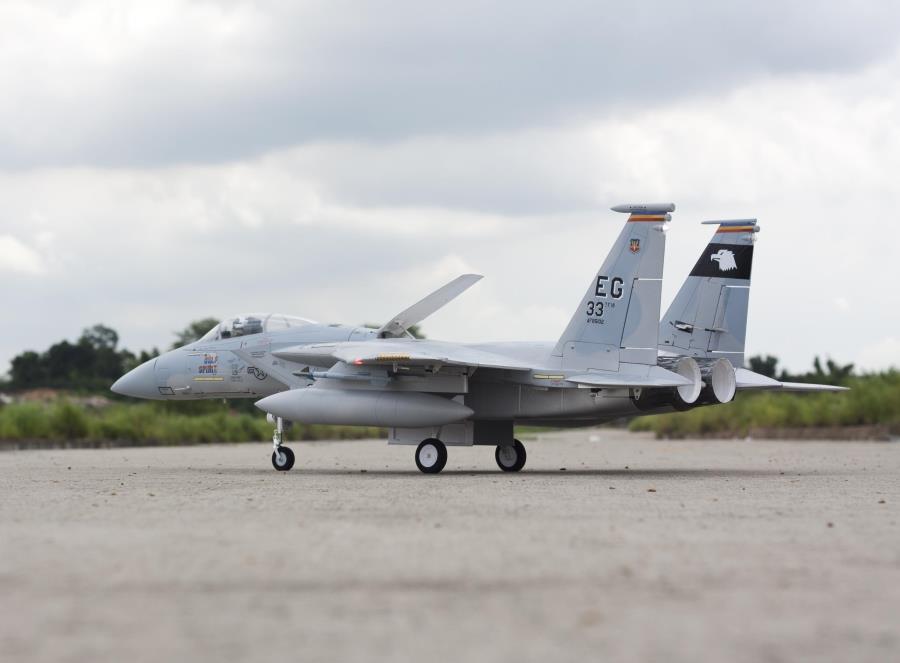 Freewing F-15C Eagle Super Scale High Performance 90mm EDF ARF Plus Jet